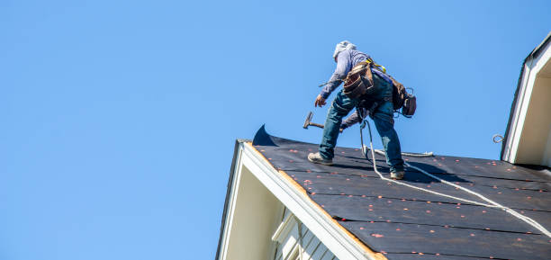 Best Roof Maintenance Services  in Dupont, PA